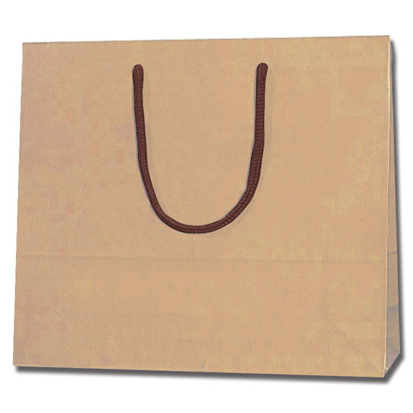 HEIKO（ヘイコー）:手提げ紙袋 カラーチャームバッグ 3才 クラフト 10枚入り 005320116 5320116 手提げ紙袋 紙袋 袋 3才 クラフト