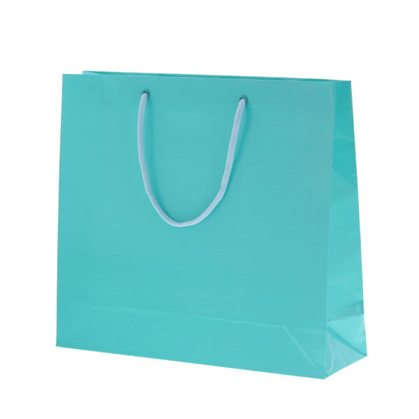 HEIKOʥإ 󤲻 ֥饤ȥХå GM  10 006137910 6137910 󤲻 GM