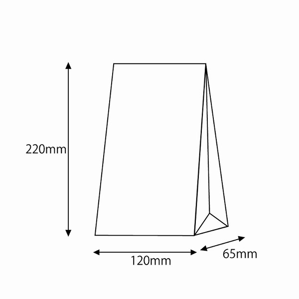 HEIKO（ヘイコー）:角底袋 ファンシーバッグ S1 ギンガム2 R 赤 100枚入り 003079710 3079710 紙袋 角底袋 ギフト袋 S1 ギンガム 赤 2