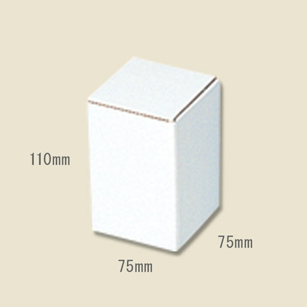 HEIKO（ヘイコー） フリーボックス F-54 10枚入り 006205410