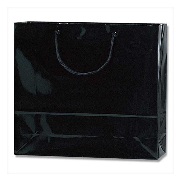 HEIKO(ヘイコー):【10枚】紙袋 ブライトバッグ GM 黒 006137900 手提げ紙袋 ブライト 紙袋 ペーパーバッグ