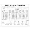 日本緑十字社:クレーン関係標識玉掛ワイヤーロープの安全荷重表KY-200450×600mm塩ビ 084200 オレンジブック 2173818