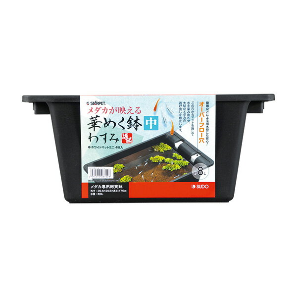 スドー（SUDO）:華めく鉢（中） わすみ S-6722