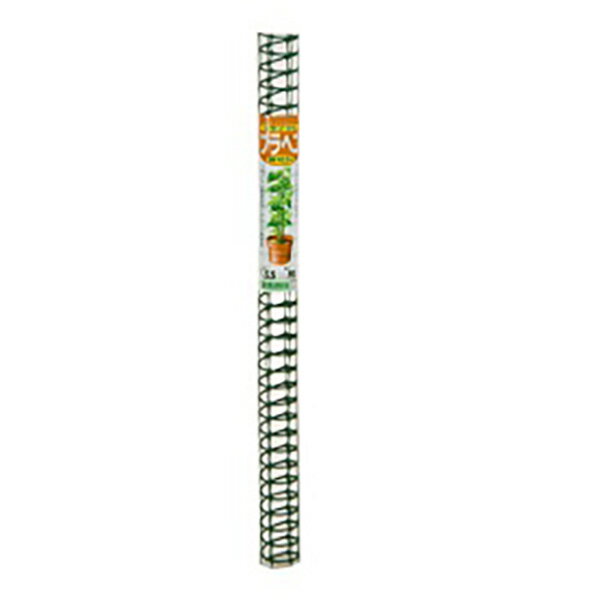 �ޥĥ��:�ץ�إ� 55�ա�60cm 4972795013519