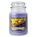 YANKEE CANDLE(ヤンキーキャンドル)の一覧はこちら 清潔でとっても居心地の良い気分にしてくれる・・・そんな酸味のきいたレモンシトラスと甘いラベンダーの新鮮なブレンドの香り。高品質なアロマオイルをふんだんに使用したキャンドルからは...