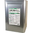 KYK(古河薬品工業):コガブラインEG40 2L 42-204 オレンジブック 8195695