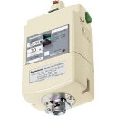 Panasonic(パナソニック) ブレーカ付ターミナルプラグ 3P20A DH2482K2