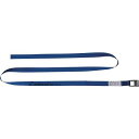 allsafe(オールセーフ) ベルト荷締機 カム式ラウンドタイプ(中荷重) C2R5(4)