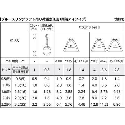 TESAC（テザック）:ブルースリングソフトE形（両端アイタイプ）荷重3.2t 全長2m TBSE3.2TX2M オレンジブック 4334191