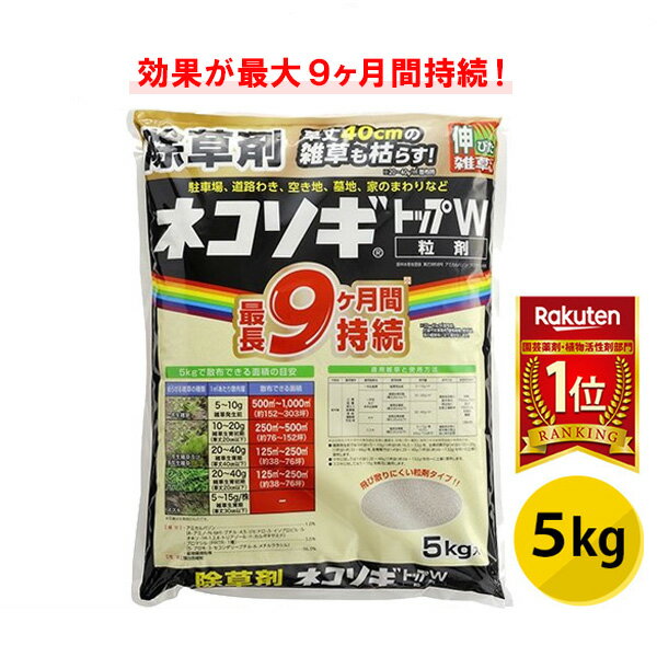 ネコソギトップW 5kg