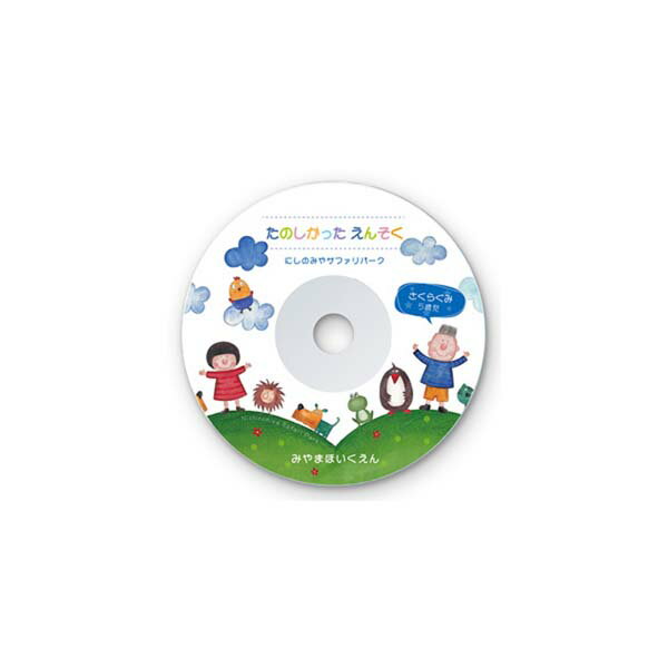 サンワサプライ インクジェットDVD/CDラベル （つやなしマット） LB-CDR001N