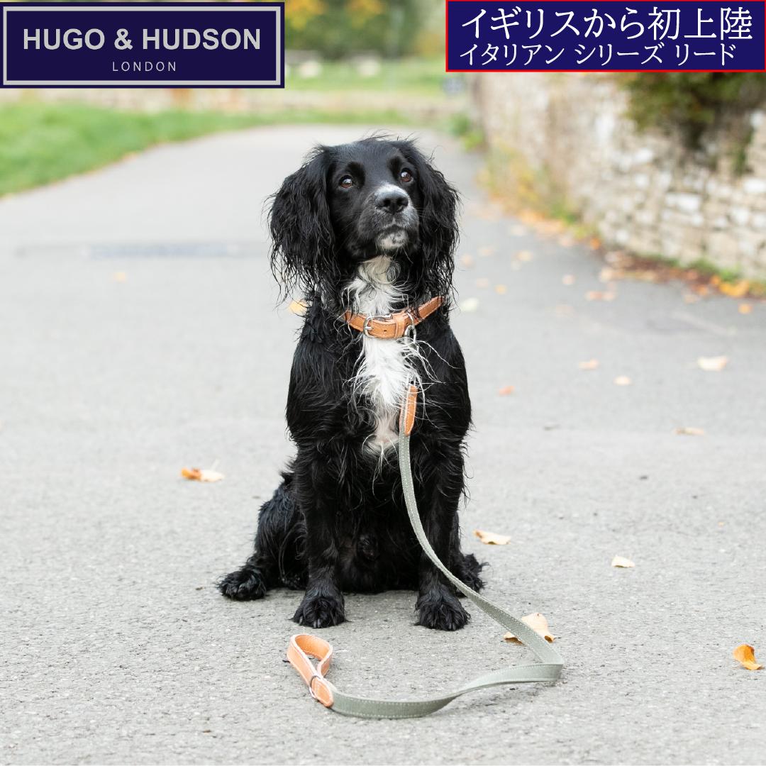 ＼本日 P5倍／ 犬 リード おしゃれ 革  イギリス かわいい 犬のリード 小型 中型犬 大型犬 ギフト 110cm