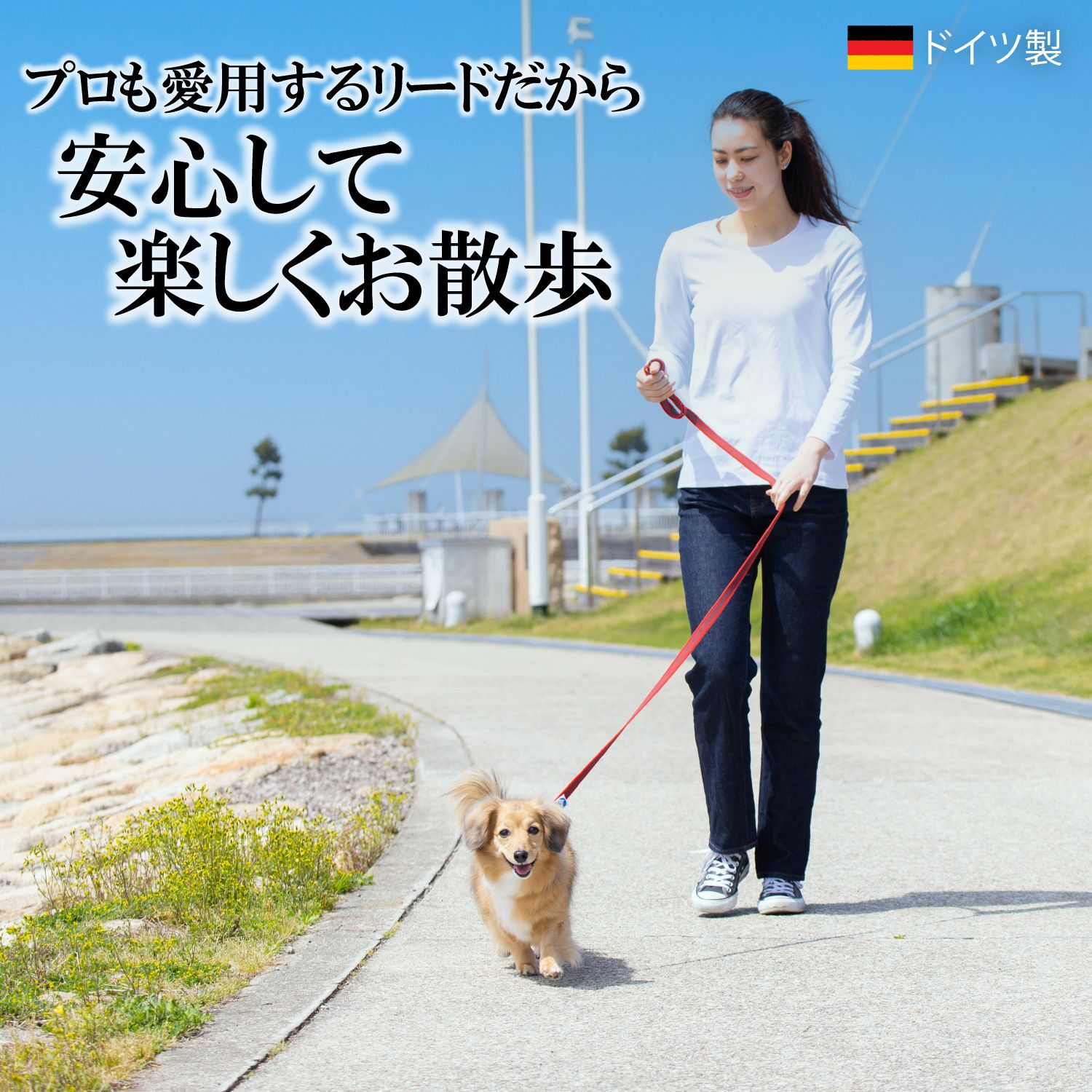 ＼100円OFFクーポン／　犬 リード【ドイツ製 SPORTHUND】 1m 120cm 2m 滑らない 軽い おしゃれ 可愛い 日本正規代理店 小型犬 中型犬 大型犬 プロ ドッグトレーナー 訓練士 愛用 散歩 しつけ 2