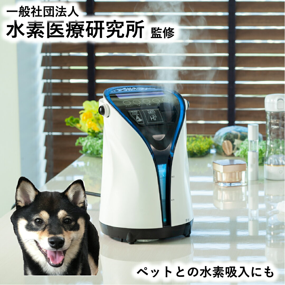 水素ガス吸入器 【リタエアー Lita Air 正規取次店】 水素医療研究所 監修 高濃度水素生成 ペット・犬にも 1年保証付き 水素ガス 還元力 ＼新品 未開封／ 12時まで 即日 発送 【水素 風呂 プレゼント付き】 宮川 路子 先生 おすすめ 母の日