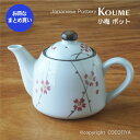 【まとめ買い★送料無料】小梅ポット(急須 ティーポット) 業務用和風陶器 業務用食器 和食器【36個セット】