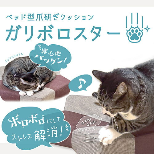 【商品スペック】 ■カラー ブラウン・ベージュ・ピンク ■材質 ポリエステル・ウレタンフォーム ■サイズ：(W)510×(D)510×(H)10 (mm) ■重量：630g ■生産国：中国ガリぼろスター （ブラウン・ベージュ・ピンク） ごろ寝しながら爪とぎできるクッションです♪立体構造ですので、リラックスして ごろ寝できます☆ 生地がやわらかいのでシニア猫にも最適です☆ 寝心地が良いので猫同士で取合いする場合もございます。 2色の色目が特徴で、形状は星型になっています。星の先に行くほど高くなっており、 そこに頭をおいて寝る子が多いです。 カラーは、ブラウン、ベージュ、ピンクの3色展開です☆ ▼ブラウン♪ ▼ベージュ♪ ▼ピンク♪ 【商品スペック】 ■カラー ブラウン・ベージュ・ピンク ■材質 ポリエステル・ウレタンフォーム ■サイズ：(W)510×(D)510×(H)10 (mm) ■重量：630g ■生産国：中国