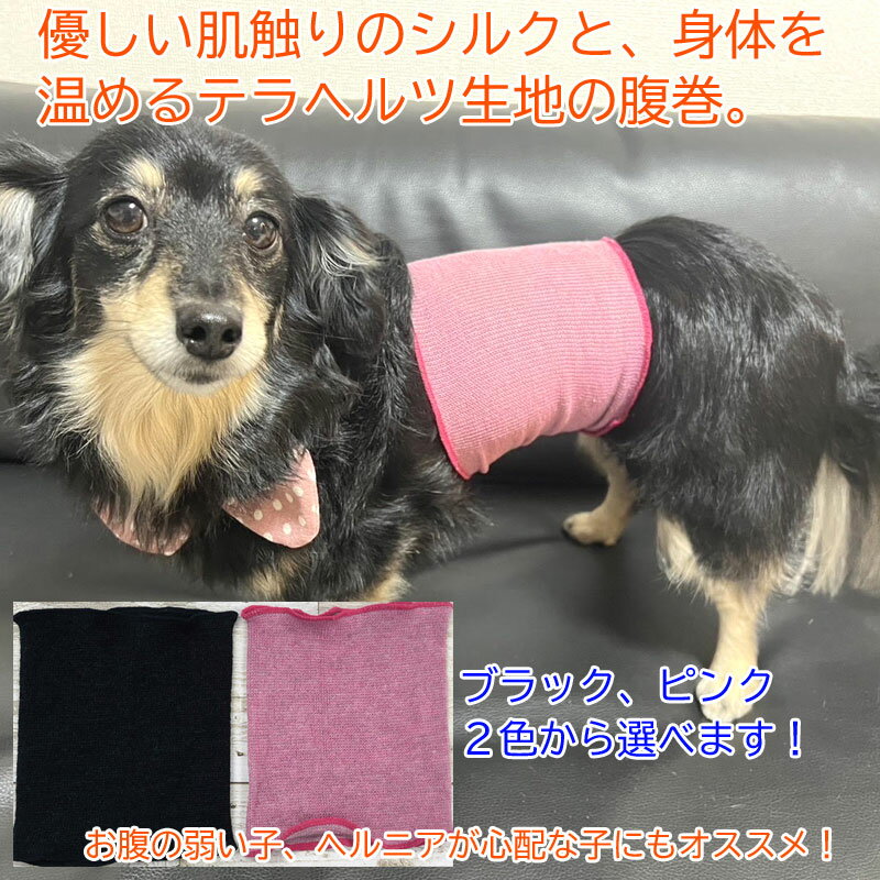 お腹 腰の血流促進 シルク腹巻 テラヘルツワン 7301 (S～LLサイズ) クークチュール Coo Couture 犬用 猫用 ヘルニア 腰痛 お腹が弱い 血流 ほぐす 温め 伸縮性 腹巻き 日本製 子犬 パピー犬 老犬 シニア犬 成犬 血行促進 寒がり はらまき 1