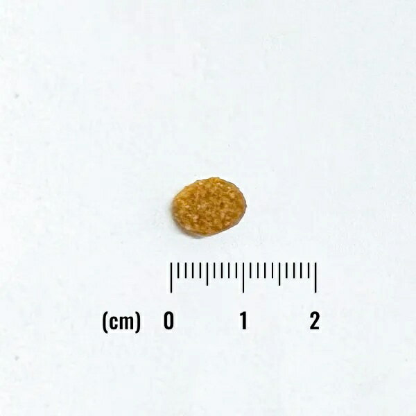 【NATURAL BLANCE】ORIGINAL ULTRA 犬用 鶏肉&大麦レシピ 小粒　全年齢用 (800g・1.8kg・5kg)