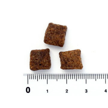 BLACK WOOD (ブラックウッド) グレインフリー　サーモン【2.27kg】