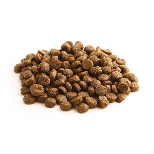 【FISH4DOGS】 コンプリートフード サーディン 【12kg】