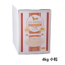 yLOT PREMIERzr[t&R[Q () q獂p Spy4kg (500g~8) z