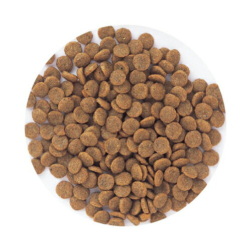 【スーパーゴールド】 フィッシュ＆ポテト シニアライト　(800g・2.4kg)