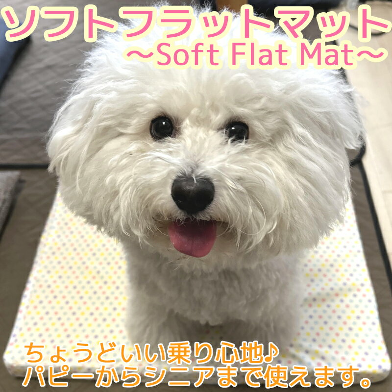 小型犬 - ソフトフラットマット 犬ベッド 安定 ふらつかない オールシーズン テラヘルツ 洗える