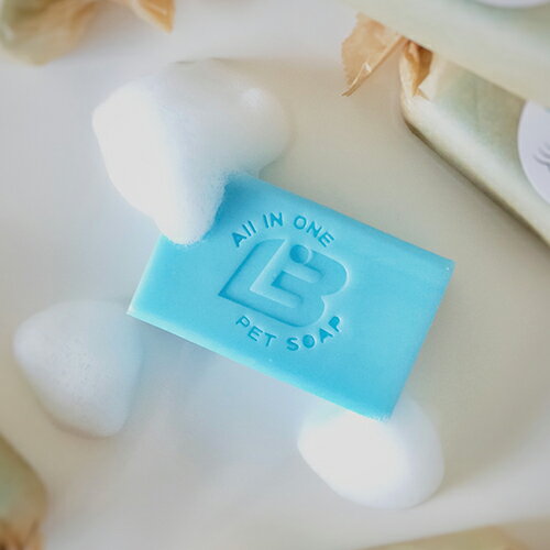 ��F.I.A.��Soap Bar���ե������ȥ��󥿡��ʥ���ʥ륢���������ȡ������ץС� (��100g)