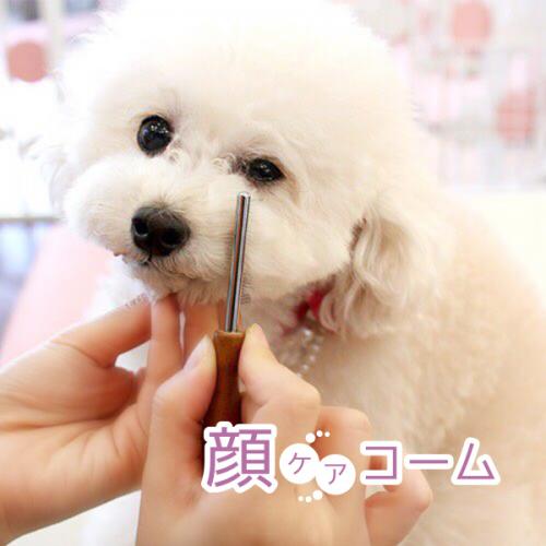 �饱�������� �ܼ��� ������ �ߥ˥����� �֥�å��� ��������