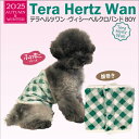 【予約注文:9月下旬頃】【Coo Couture】クークチュール テラヘルツワン・ヴィシーベルクロバンドBOY (マジックテープ付き腹巻き)【7336】(SS・S・M・L・LL・3Lサイズ) シニア 介護補助 パワーストーン加工 リカバリーグッズ 男の子用