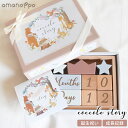 amanoppo あまのっぽ 木のおもちゃ 積み木 ブロック セット coccole story コッコレストーリー 出産祝い 誕生日 記念日 ギフト ベビー ...