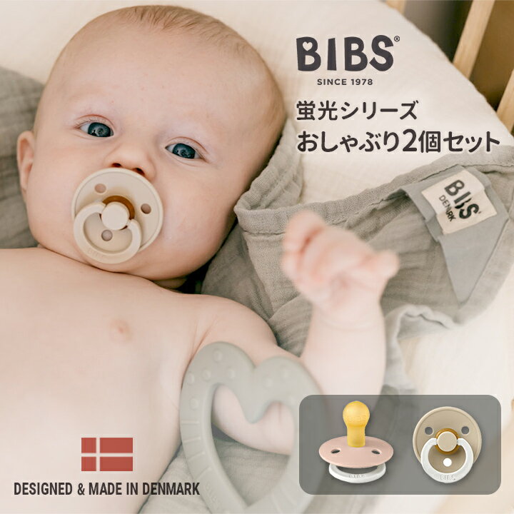 BIBS ビブス Made in Denmark おしゃぶり2