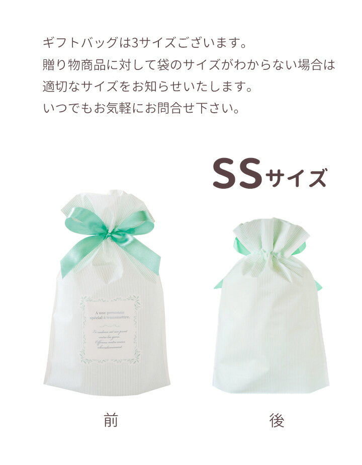 商品購入者専用 ラッピング袋 販売 サテンリボン付き ミントストライプ ギフトバッグ SSサイズ プレゼント ギフト ラッピング 袋 巾着 23cm×15cm
