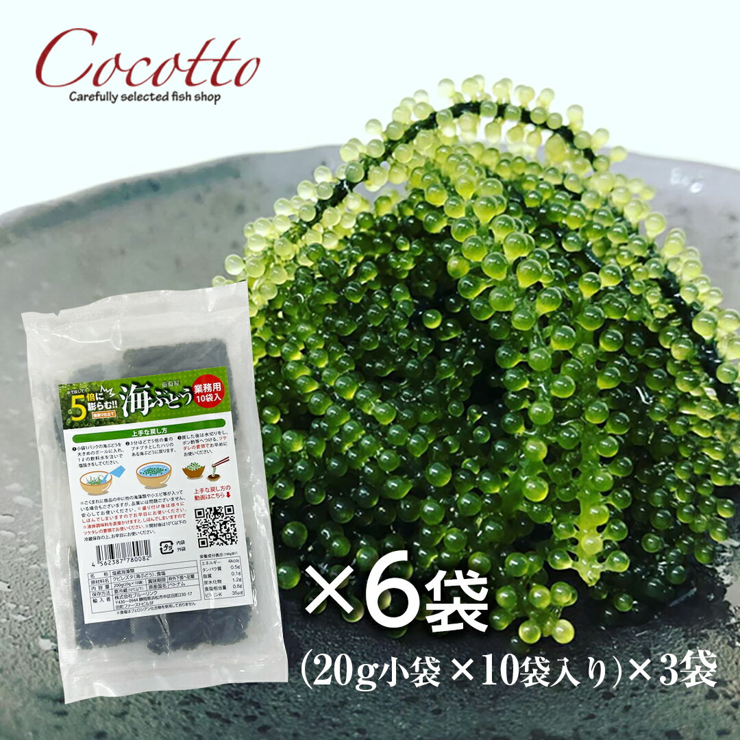 海ぶどう業務用（20g×10袋）6パック ベトナム産 お取り...