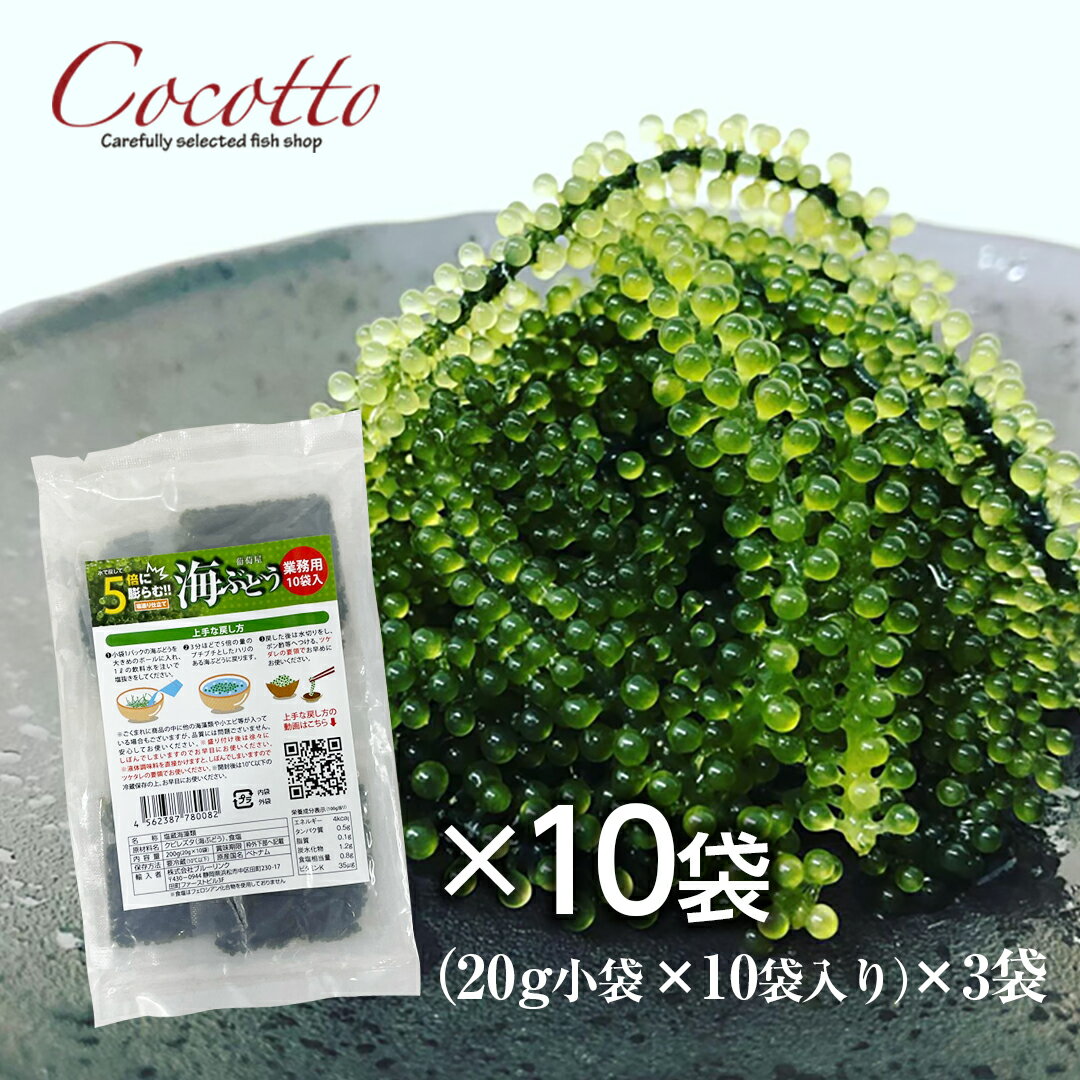 海ぶどう業務用（20g×10袋）10パック ベトナム産 お取り寄せグルメ 海鮮 長期保存可能 飲食店 塩造り 無農薬 沖縄料理 低カロリー 食材