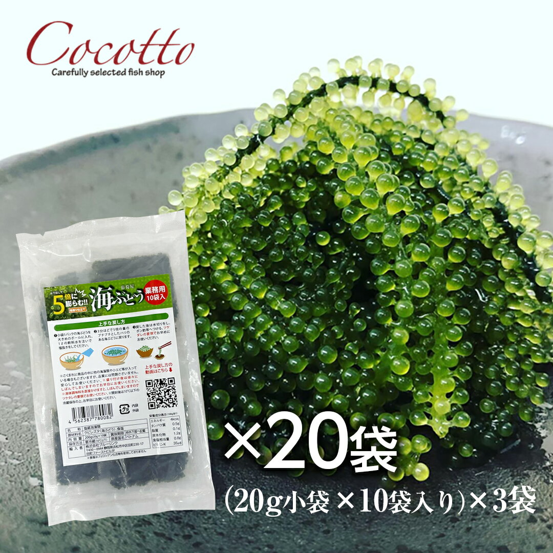 楽天タスマニアサーモン専門店Cocotto海ぶどう業務用（20g×10袋）20パック ベトナム産 お取り寄せグルメ 海鮮 長期保存可能 飲食店 塩造り 無農薬 沖縄料理 低カロリー 食材【楽ギフ_包装】【楽ギフ_のし】【冷蔵】