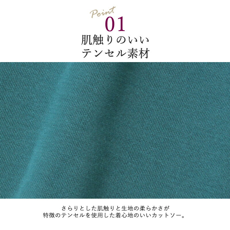 ハイネック テンセル ソフト カットソー 長袖（シニアファッション 70代 80代 60代 ファッション 春夏 秋冬 ハイミセス 婦人 レディース おばあちゃん 服 お年寄り 高齢者 ） プレゼント 実用的 敬老の日 プレゼント ギフト