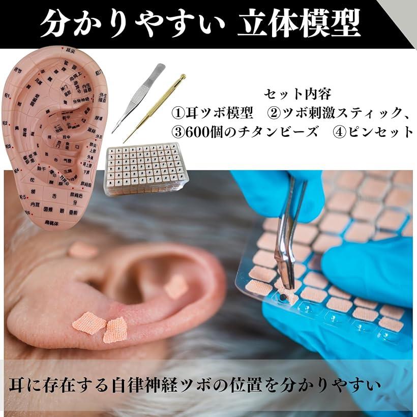 耳ツボ 模型 立体模型 耳ツボ模型 耳つぼシー...の紹介画像2