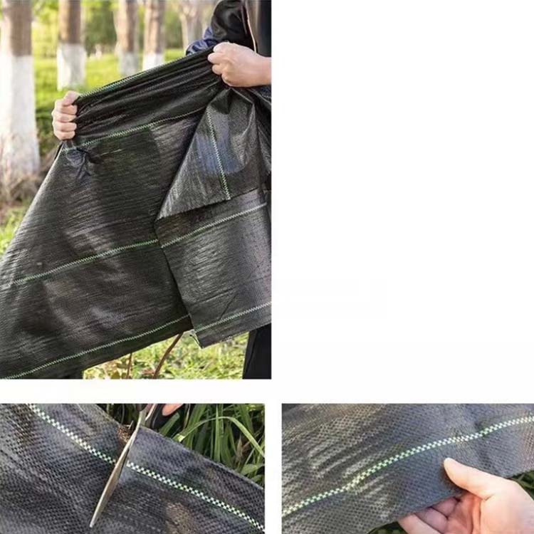 ���𥷡��� ������ 1m��100m 50cm��200m ���𥷡��� �����ɻߥ����� ����� ���� ������ ���ѥ����� UV������ �͹��� ���� ���� �� �� ��־� ��褱 �����ɻ� �����к� �����ʤ� ���� ����� �����ǥ˥� �� �Ĥ�� Ȫ ����