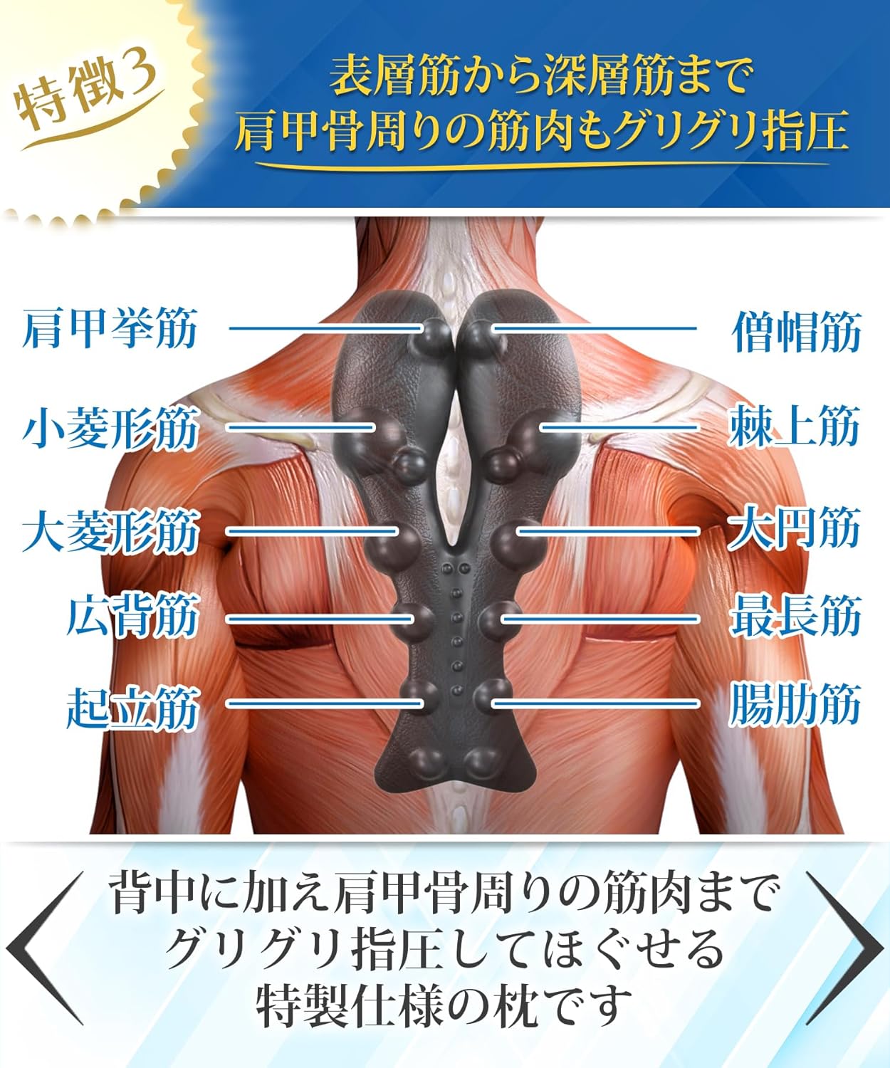 背中 肩甲骨はがし ストレッチ ツボ押し 1日5分寝るだけで背中をしっかりストレッ...