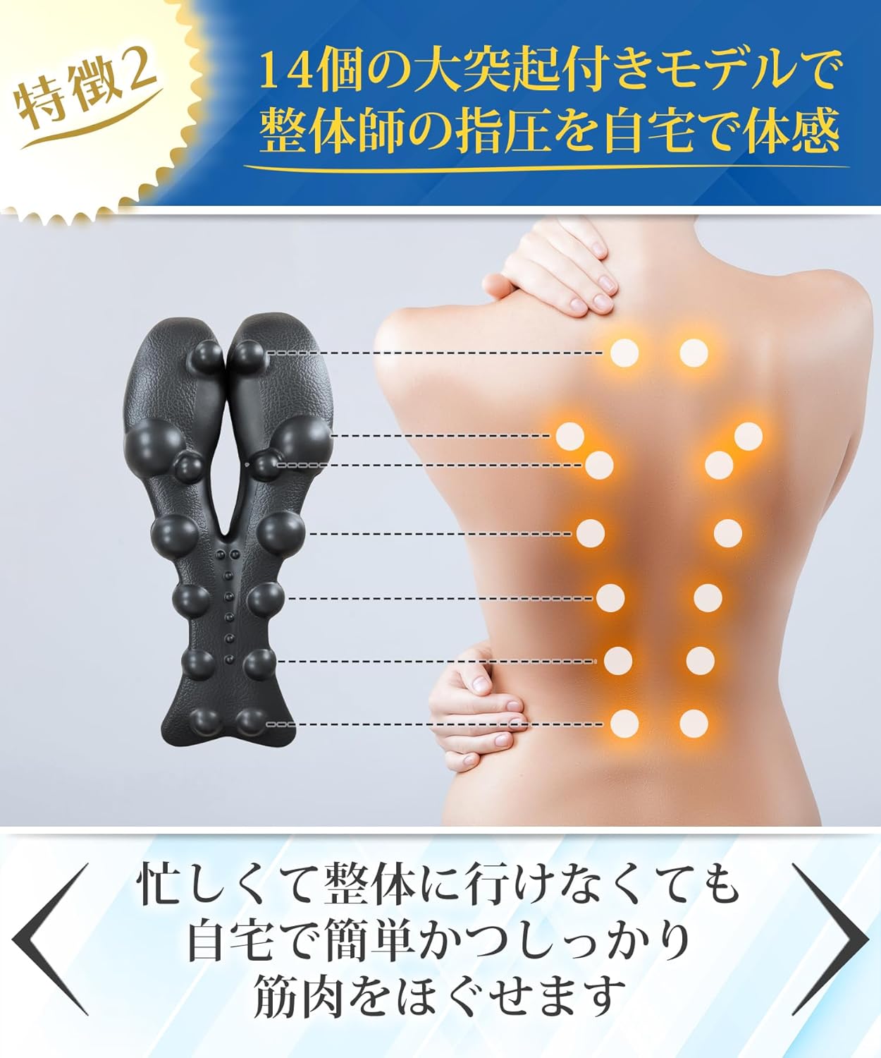 背中 肩甲骨はがし ストレッチ ツボ押し 1日5分寝るだけで背中をしっかりストレッ...