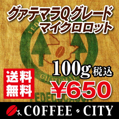 グァテマラQグレードマイクロロット アルタルス農園100g【コーヒー豆】【珈琲豆】【コーヒー】【高品質】【フルボディ】【ストレートコーヒー】【送料無料】ゆうパケット専用※日時指定できません