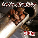 トラジャ・ランテカルア500g【コーヒー豆】【珈琲豆】【コーヒー】【インドネシア】【トラジャ】【ストレートコーヒー】【送料無料】ゆうパケット専用※日時指定できません