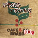 ブラジル・サントス100g【No2】【ス