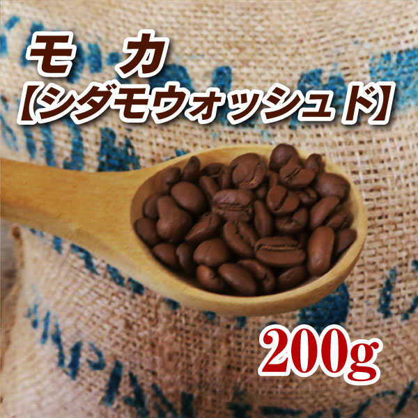 モカ（シダモウォッシュド）200g【コーヒー豆】【珈琲豆】【コーヒー】【エチオピア】【水洗式】【ストレートコーヒー】【送料無料】ゆうパケット専用※日時指定できません