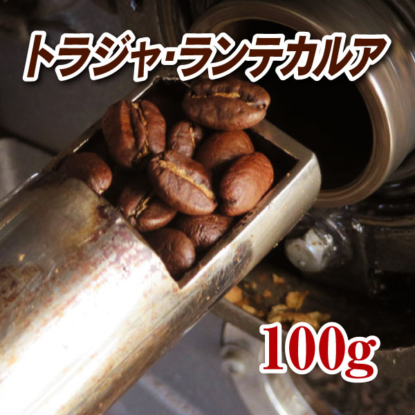 トラジャ・ランテカルア100g【コーヒー豆】【珈琲豆】【コーヒー】【インドネシア】【トラジャ】【ストレートコーヒー】【送料無料】ゆうパケット専用※日時指定できません