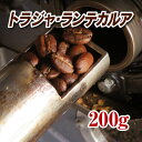 トラジャ ランテカルア200g【コーヒー豆】【珈琲豆】【コーヒー】【インドネシア】【トラジャ】【ストレートコーヒー】【送料無料】ゆうパケット専用※日時指定できません