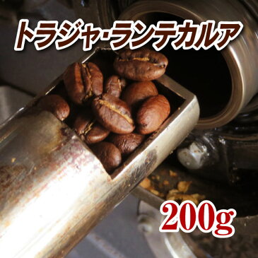 【楽天スーパーSALE10％オフ】トラジャ・ランテカルア200g【コーヒー豆】【珈琲豆】【コーヒー】【インドネシア】【トラジャ】【ストレートコーヒー】【送料無料】ゆうパケット専用※日時指定できません