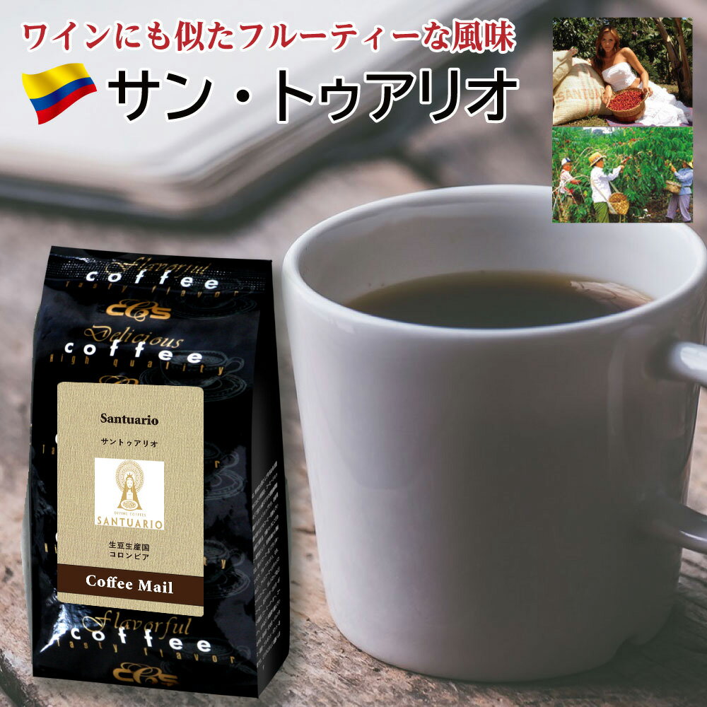 コーヒー豆 コロンビアコーヒー 福袋 2種×各200g（400g）【送料無料】 サンアグス...