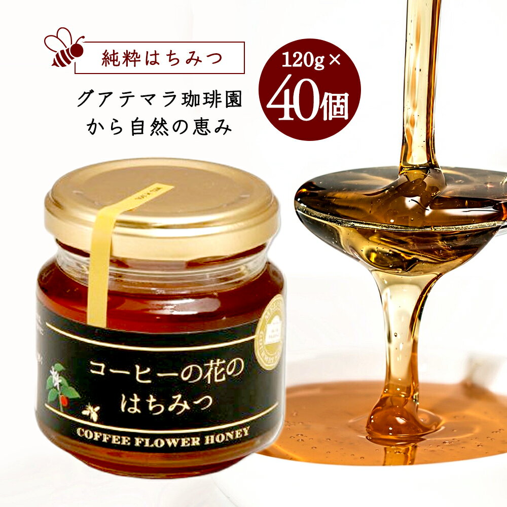 純粋はちみつ　コーヒーの花のはちみつ　（120g×40個）4800g／メル・ソルグルメシリーズ【送料無料】 はちみつ ハチミツ ハニー HONEY 蜂蜜 瓶詰 海外産蜂蜜 海外産ハチミツ